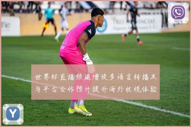 世界杯直播频道增设多语言转播及与平台合作预计提升海外收视体验