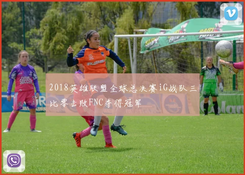 2018英雄联盟全球总决赛iG战队三比零击败FNC夺得冠军