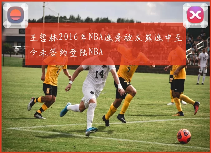 王哲林2016年NBA选秀被灰熊选中至今未签约登陆NBA