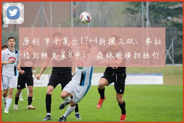 原创 华子复出17+4新援三双，弗拉格打铁克莱8中1，森林狼横扫独行侠