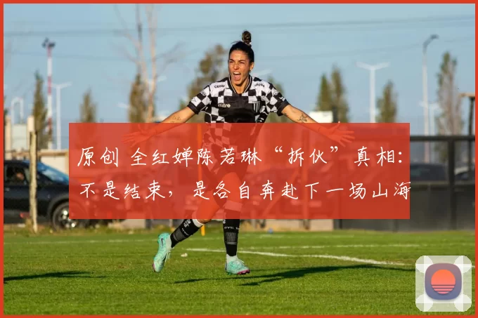 原创 全红婵陈若琳“拆伙”真相：不是结束，是各自奔赴下一场山海